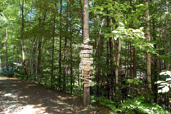 Blue Ridge Falls Campsites Picture 8