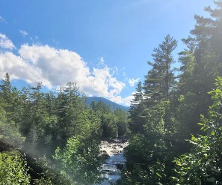 Blue Ridge Falls Campsites