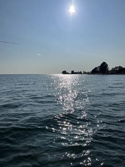 Mud bay rv park and motel Picture 5