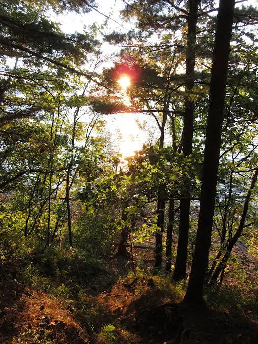 Wellesley Island State Campground Picture 2