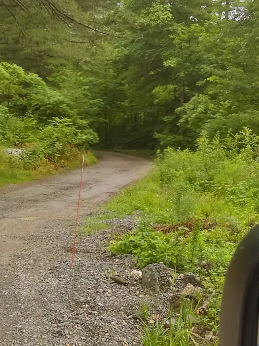 Back Bay Campground & Cottages Picture 4