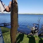 Davis Country Cabins