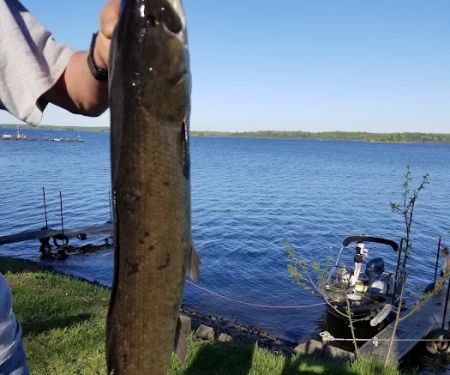 Davis Country Cabins