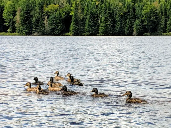 Blake McNeil Campgrounds Picture 7