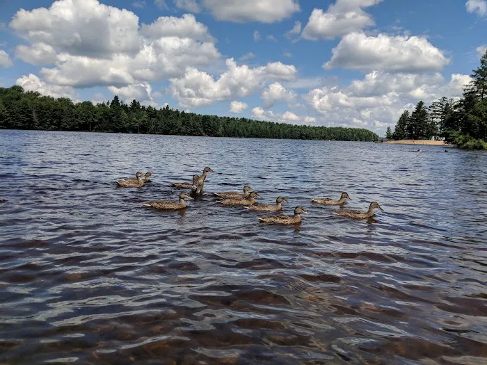 Blake McNeil Campgrounds Picture 6