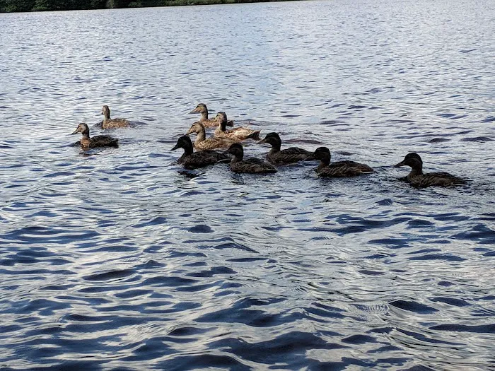 Blake McNeil Campgrounds Picture 10