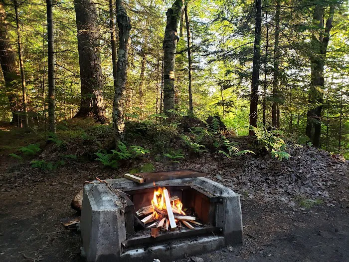 Rollins Pond Campground Picture 1