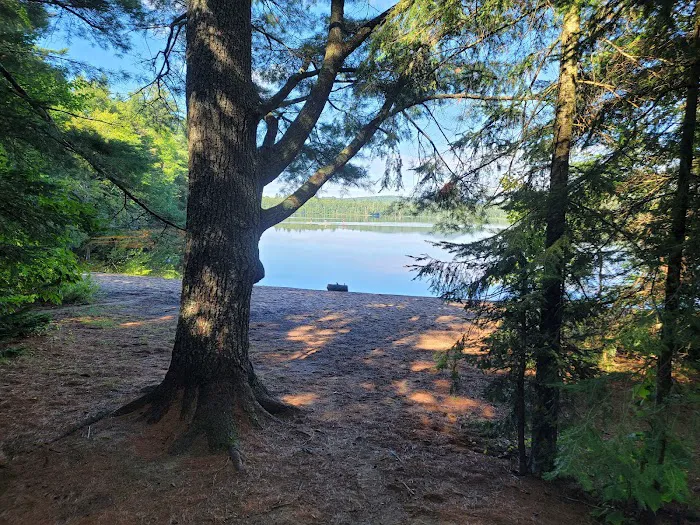 Rollins Pond Campground Picture 9