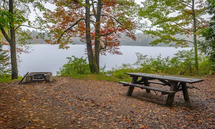 Fish Creek Pond Campground Picture 3