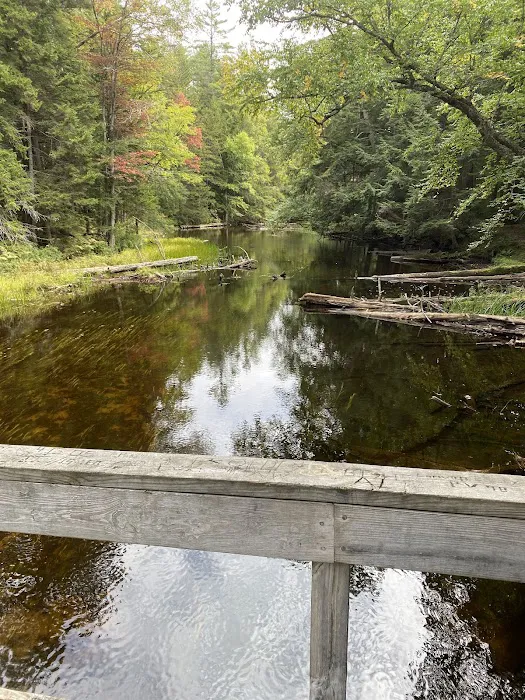 Fish Creek Pond Campground Picture 9