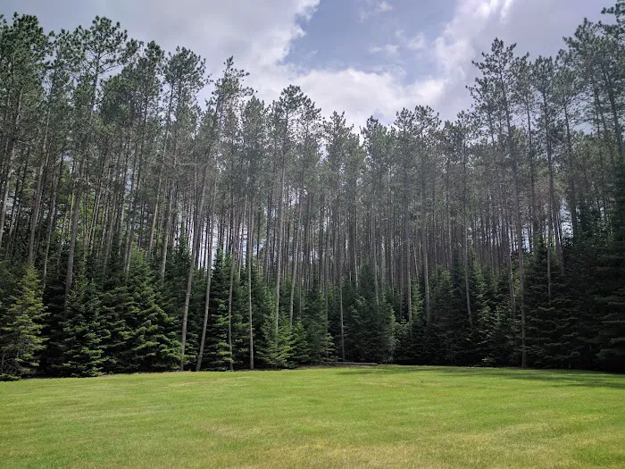 Fish Creek Pond Campground Picture 2