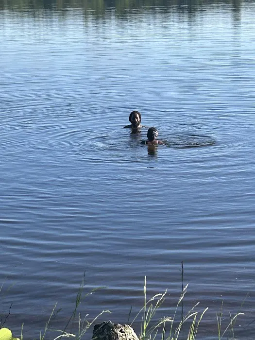 Fish Creek Pond Campground Picture 9