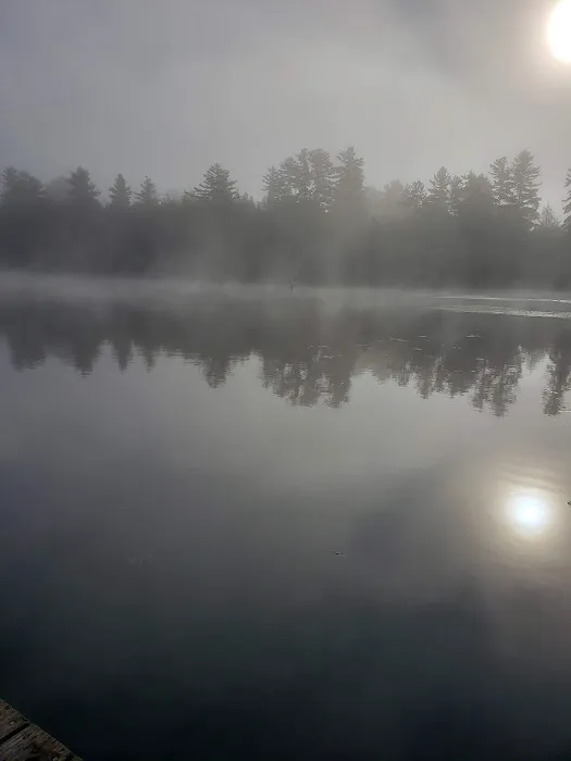 George A Donaldson & Sons Inc Picture 1