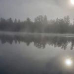 George A Donaldson & Sons Inc