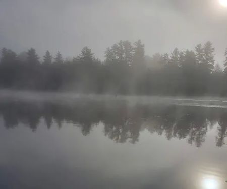 George A Donaldson & Sons Inc