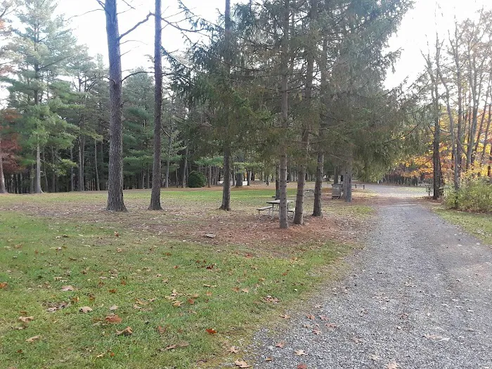 Camp Golden Pond Picture 2