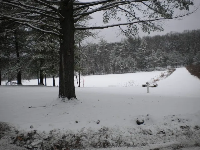 Camp Golden Pond Picture 8