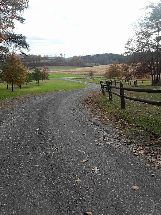 Camp Golden Pond Picture 9