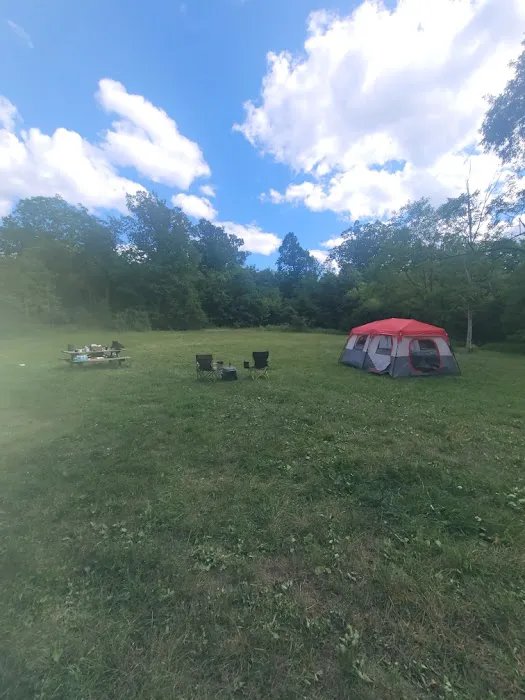 Rothrock State Forest Campsite #1 Picture 2