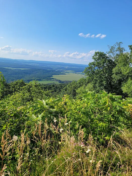 Rothrock State Forest Campsite #1 Picture 3