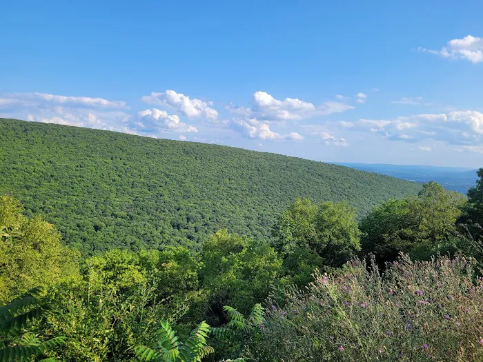 Rothrock State Forest Campsite #1 Picture 7