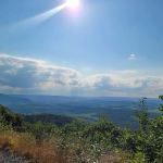 Rothrock State Forest Campsite #1