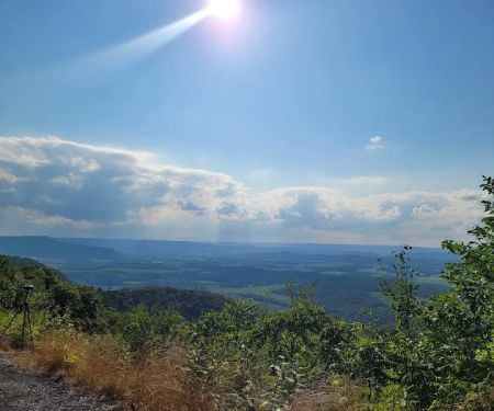 Rothrock State Forest Campsite #1