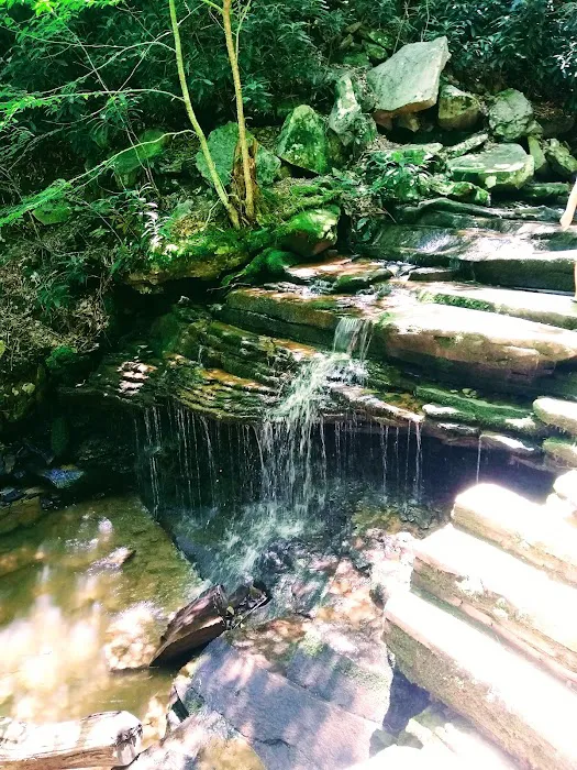 Rothrock State Forest Campsite #1 Picture 5