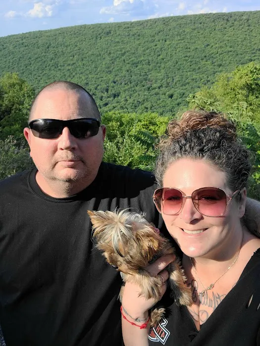 Rothrock State Forest Campsite #1 Picture 4