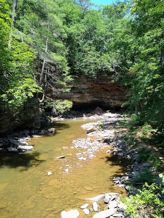Rothrock State Forest Campsite #1 Picture 8