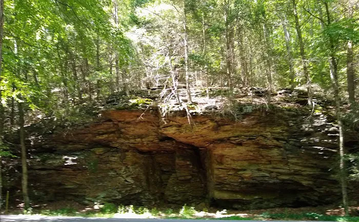 Rothrock State Forest Campsite #1 Picture 10