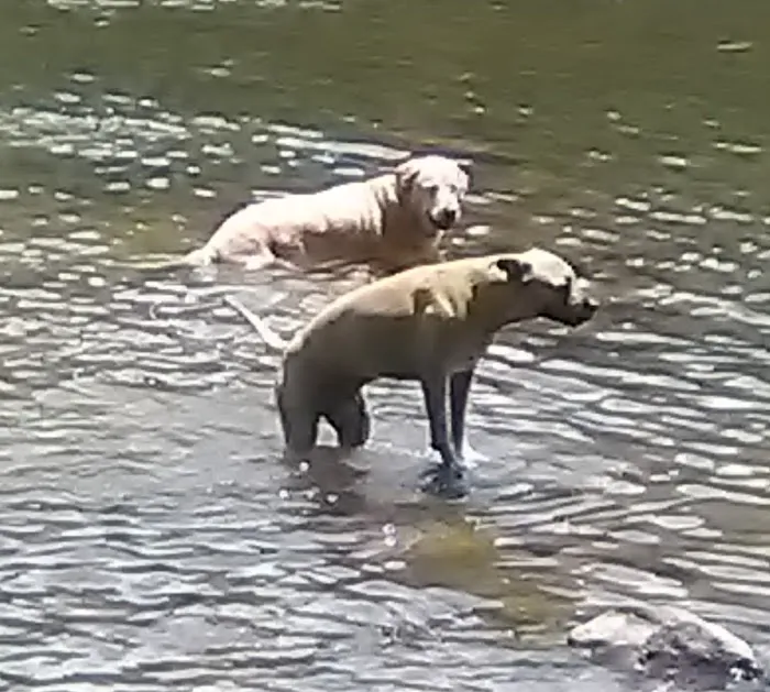 Barbens Campground Picture 1