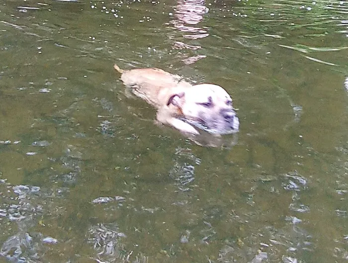 Barbens Campground Picture 10