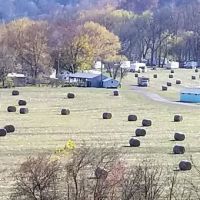 Bowser's Riverfront Campground ico