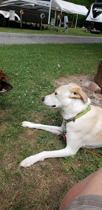 L&L Campground Picture 4