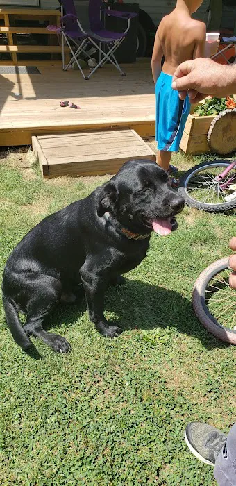 L&L Campground Picture 6