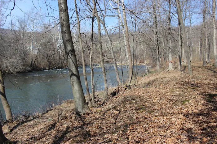 Lazy Dayz Riverfront Campground Picture 7