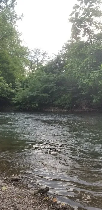 Lazy Dayz Riverfront Campground Picture 1