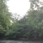 Lazy Dayz Riverfront Campground