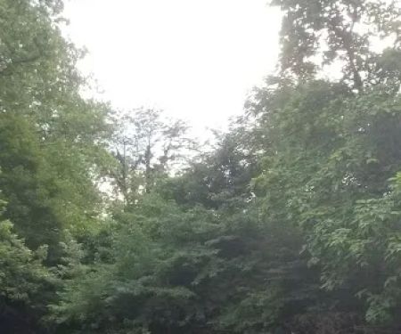 Lazy Dayz Riverfront Campground