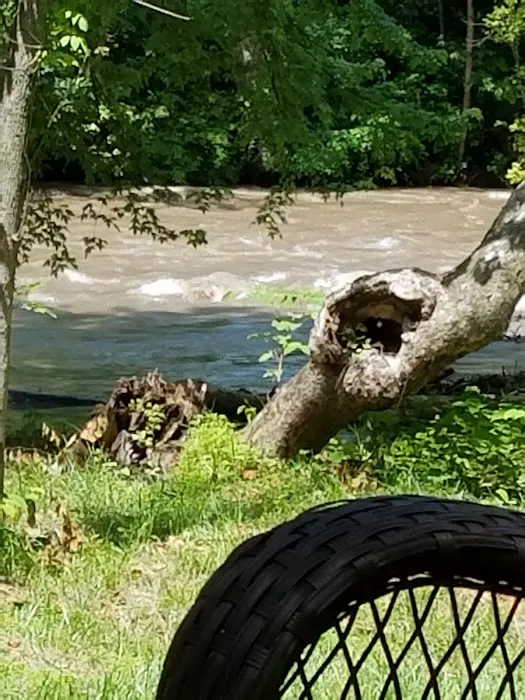 Lazy Dayz Riverfront Campground Picture 8