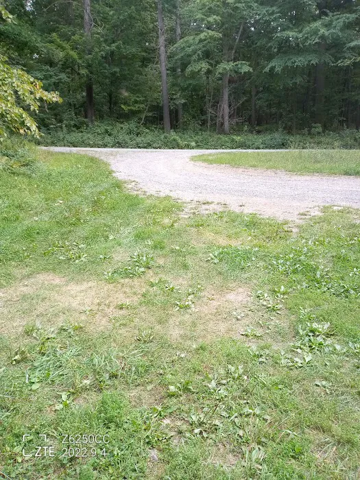 Rothrock State Forest Campsite #2 Picture 2