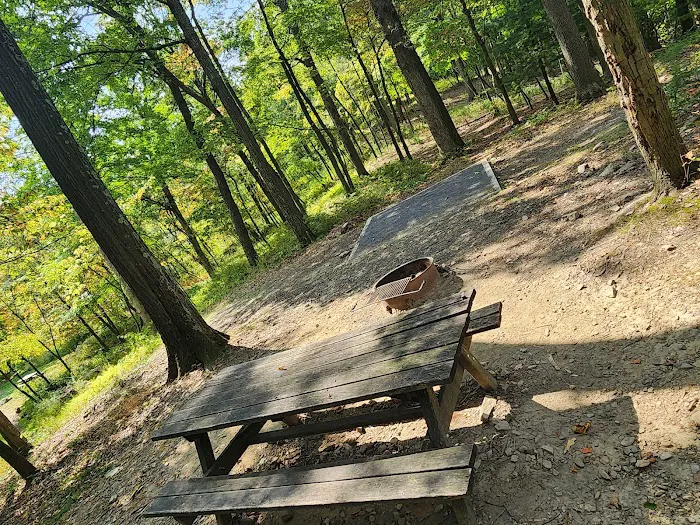 Rothrock State Forest Campsite #2 Picture 4