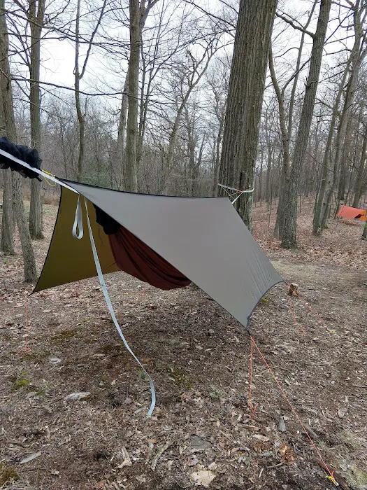 Rothrock State Forest Campsite #2 Picture 5