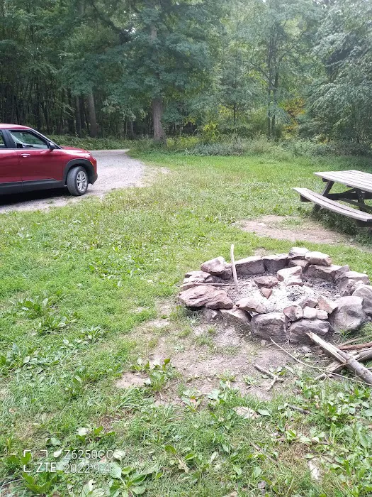 Rothrock State Forest Campsite #2 Picture 3
