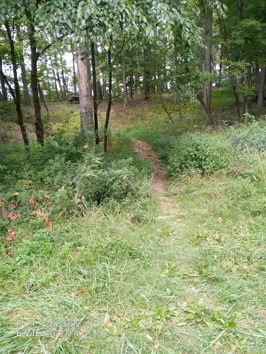 Rothrock State Forest Campsite #2 Picture 1