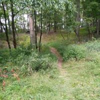 Rothrock State Forest Campsite #2 ico