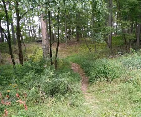 Rothrock State Forest Campsite #2