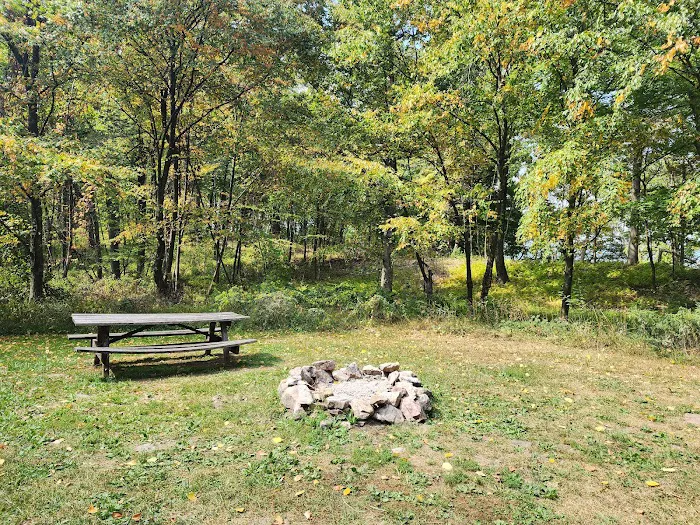 Rothrock State Forest Campsite #2 Picture 8