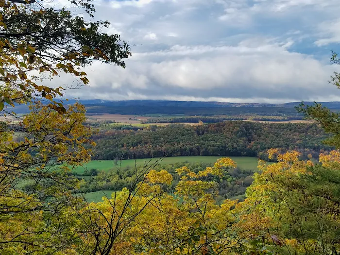 Rothrock State Forest Campsite #2 Picture 9